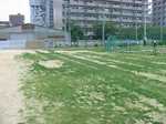 関目ポット苗植え付け070621 004s.jpg