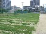 関目ポット苗植え付け070621 005s.jpg