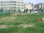 関目ポット苗植え付け070621 007s.jpg