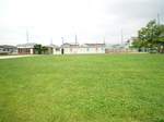 ̋{100711-0002.JPG