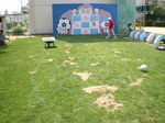 ̋{100711-0015.JPG