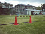 桜の宮2007-1020_0011.jpg