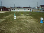 ̋{20080412_0002.jpg
