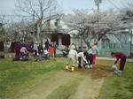 ̋{20080412_0018.jpg