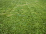 ̋{wZ20080614-0002.jpg