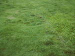 桜の宮小学校20080712-0002.jpg