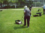 桜の宮小学校20080712-0007.jpg