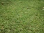 ̋{wZ_20080913_3.jpg