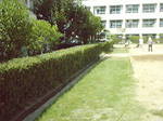 ̋{wZ_20080913_4.jpg