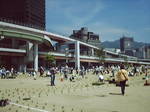 神戸震災復興記念公園植え付け090620_10.jpg
