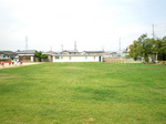 ̋{20100911-1.JPG