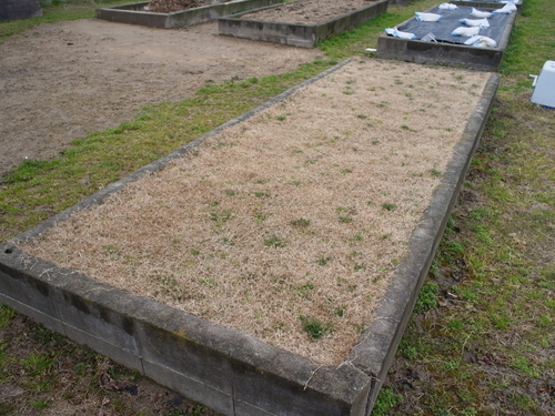 ̋{wZ20150307-05.jpg