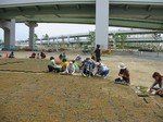 S16神戸震災復興記念公園ポット苗つくり０９０５０５ 016.jpg