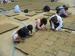 S19神戸震災復興記念公園ポット苗つくり０９０５０５ 019.jpg