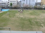 S1XV{󋵎@PPOSPT 001-2.jpg