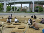 S24神戸震災復興記念公園ポット苗つくり０９０５０５ 024.jpg