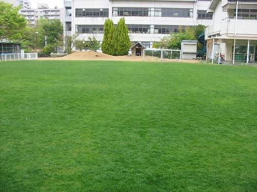 S2港島幼稚園状況視察110422 002.jpg