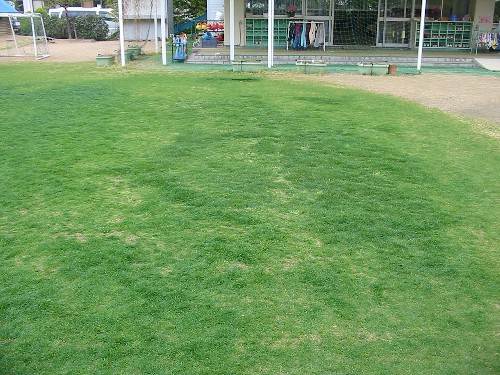 S3港島幼稚園状況視察110422 003.jpg