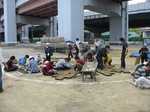 S7神戸震災復興記念公園ポット苗つくり０９０５０５ 007.jpg