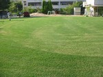 s11港島幼稚園芝刈り作業100825 011.jpg