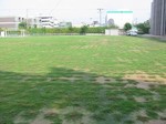 s14帝塚山芝刈り作業100823 014.jpg