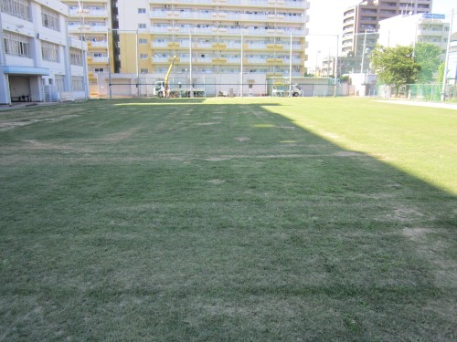 s19清江小学校目砂作業130710 (19).jpg