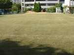 s19港島幼稚園OS刈り込み作業101012 019.jpg