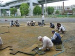 s1神戸震災復興記念公園ポット苗つくり０９０５０６ 001.jpg