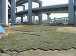 s1神戸震災復興記念公園ポット苗施肥（２回目）０９０５２０ 001.jpg
