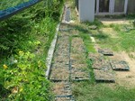 s1清江状況視察080714 001.jpg
