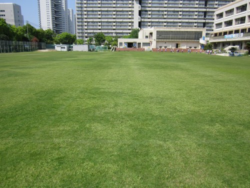 s1港島状況視察140502 (1).jpg