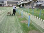 s24港島コアリング(目砂)作業150703 (24).jpg