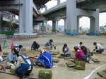 s25神戸震災復興記念公園ポット苗つくり０９０５０４ 025.jpg