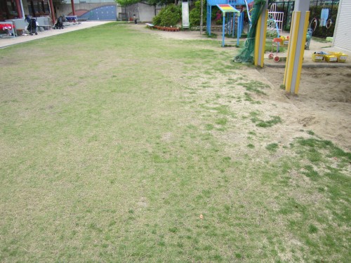 s2大阪樟蔭状況視察130501 (2).jpg