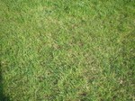 s2̋{wZ111210-2.jpg