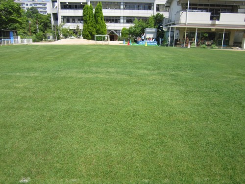 s2港島幼コアリング作業130711 (2).jpg