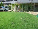 s2港島幼稚園芝刈り作業100825 002.jpg