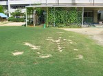 s3港島幼稚園状況視察100727 003.jpg