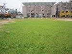 s3帝塚山施肥作業121123 (3).jpg