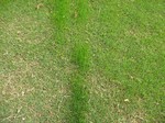 s3帝塚山状況視察101026 003.jpg