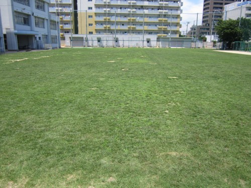s3清江小学校目砂作業130710 (3).jpg