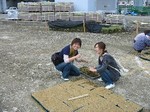 s4神戸震災復興記念公園ポット苗つくり０９０５０６ 004.jpg