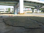 s4神戸震災復興記念公園ポット苗施肥０９０５１１ 004.jpg