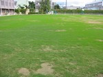 s4帝塚山状況視察101026 004.jpg