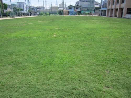 s4清江小学校目砂作業130710 (4).jpg