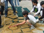 s5神戸震災復興記念公園ポット苗つくり０９０５０４ 005.jpg