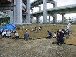 s5神戸震災復興記念公園ポット苗つくり０９０５０６ 005.jpg