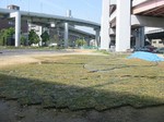 s5神戸震災復興記念公園ポット苗施肥（２回目）０９０５２０ 005.jpg