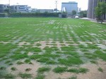 s5帝塚山芝刈り作業100823 005.jpg