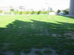 s5帝塚山芝刈り作業100826 005.jpg